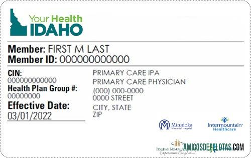 Cartão de seguro saúde de Idaho amostra